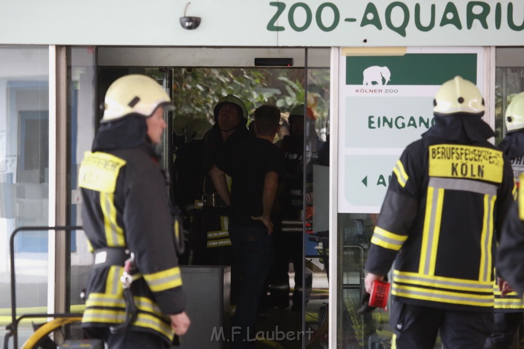 Feuer Zoo Aquarium Koeln Riehl P15.JPG